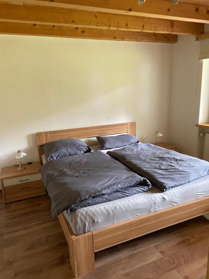 Ferienwohnung Im Herzen Graubuendens Surava ภายนอก รูปภาพ